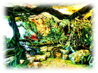 Title: Latgales zoodrza ekspozcija - Description: Latgales zoodrza dunglu purvs
