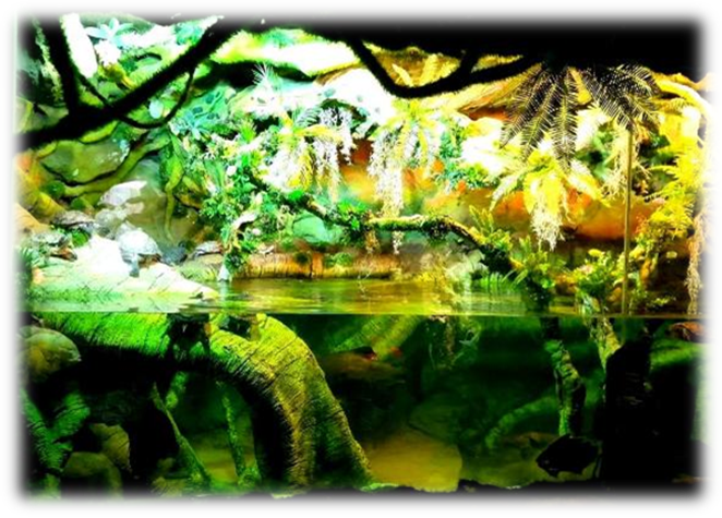 LZD tropu ekspoz�cija