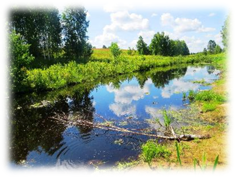 Renov�ts d��is Silenes DP